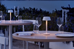 Firefly in the sky Panzeri